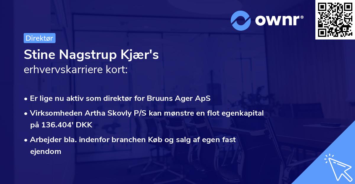 Stine Nagstrup Kjær's erhvervskarriere kort