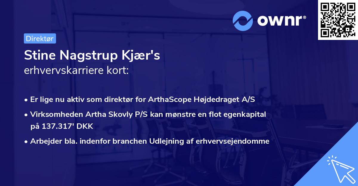 Stine Nagstrup Kjær's erhvervskarriere kort