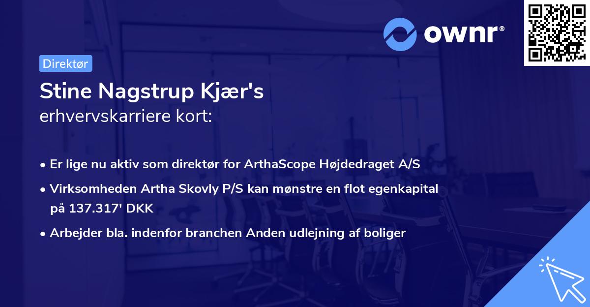 Stine Nagstrup Kjær's erhvervskarriere kort