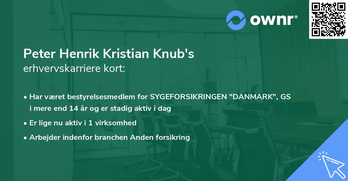 Peter Henrik Kristian Knub's erhvervskarriere kort