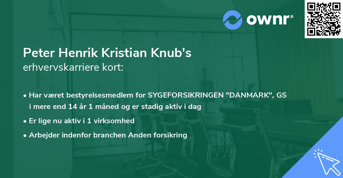 Peter Henrik Kristian Knub's erhvervskarriere kort