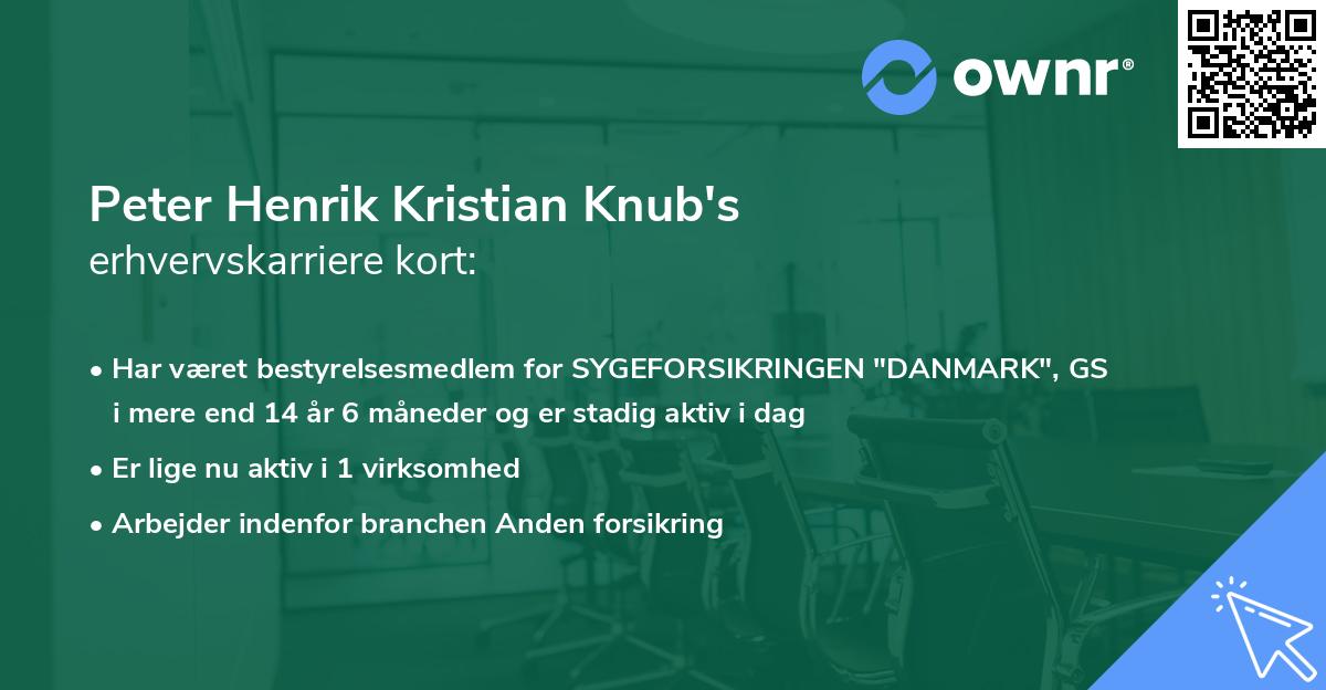 Peter Henrik Kristian Knub's erhvervskarriere kort