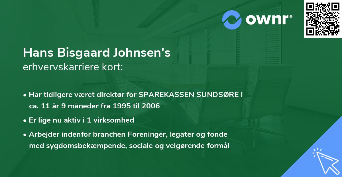 Hans Bisgaard Johnsen's erhvervskarriere kort