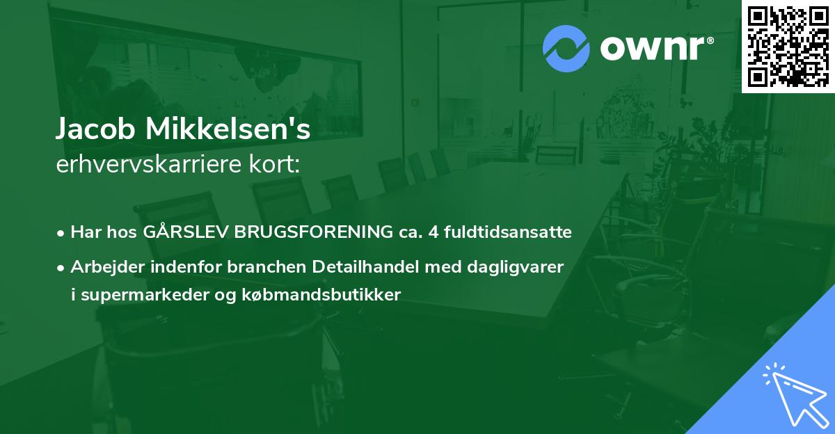 Jacob Mikkelsen's erhvervskarriere kort