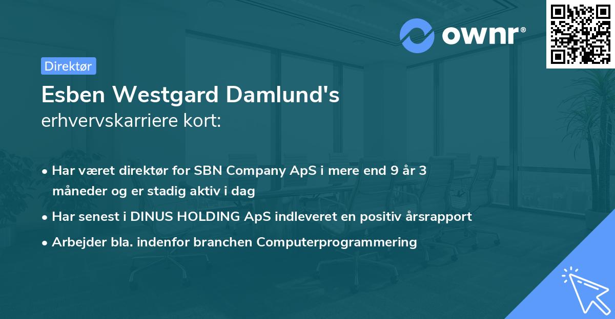 Esben Westgard Damlund's erhvervskarriere kort