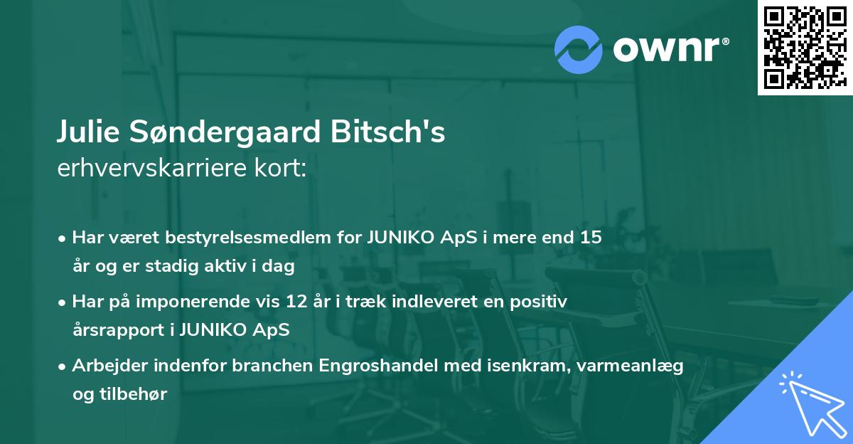 Julie Søndergaard Bitsch's erhvervskarriere kort