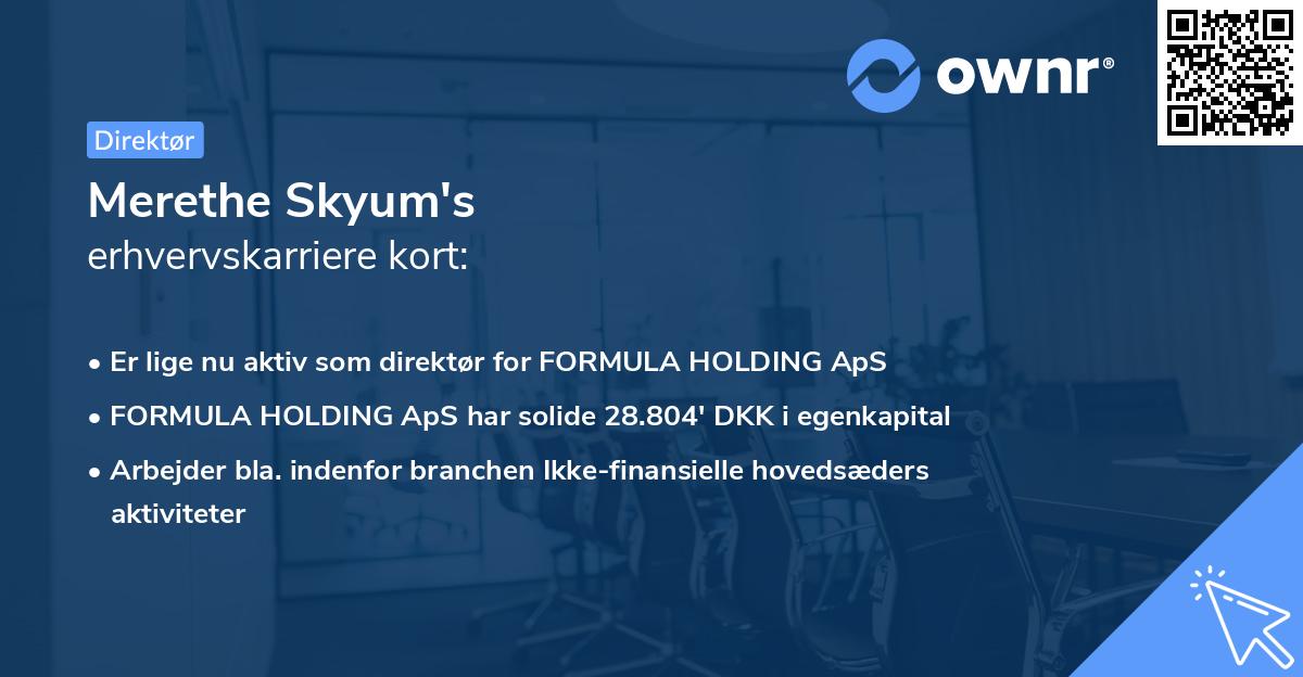 Merethe Skyum's erhvervskarriere kort