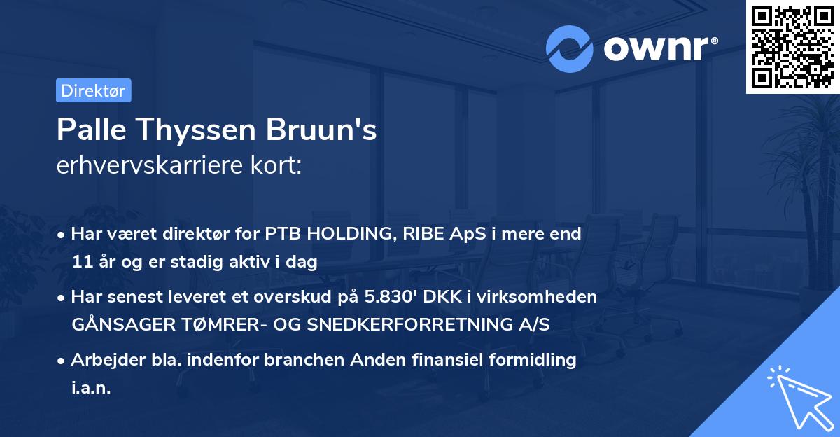 Palle Thyssen Bruun's erhvervskarriere kort