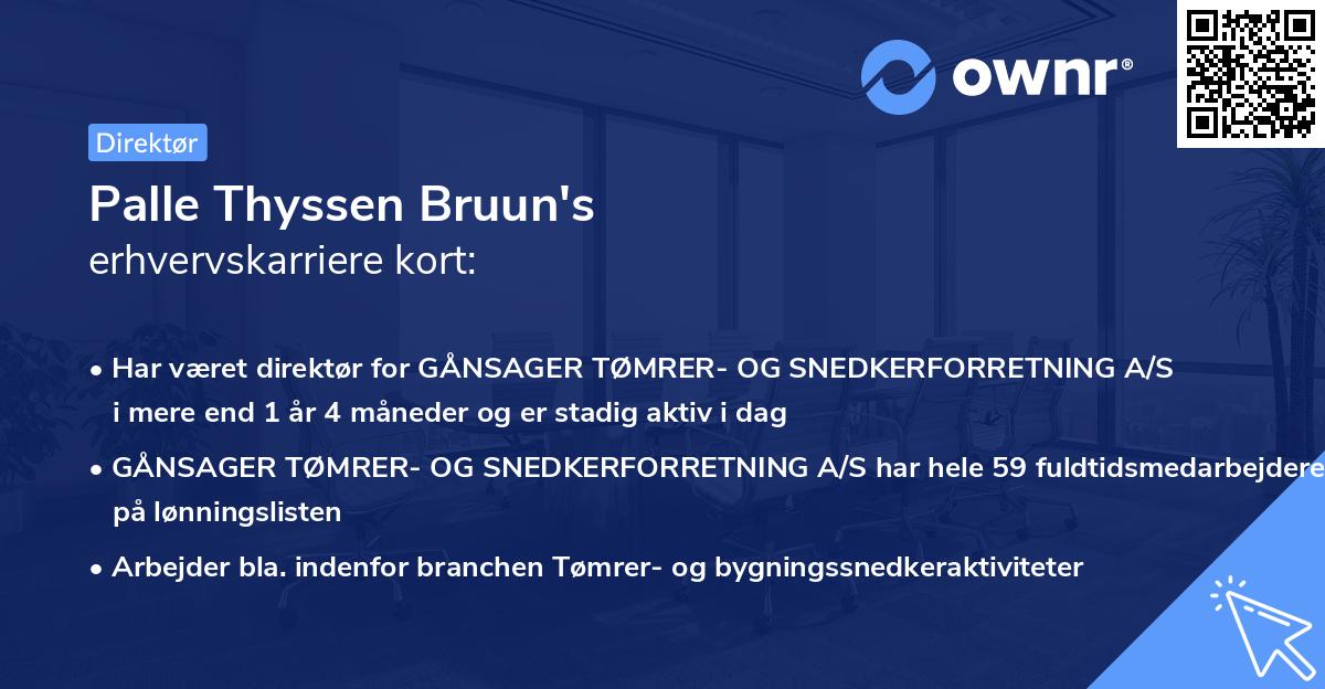 Palle Thyssen Bruun's erhvervskarriere kort