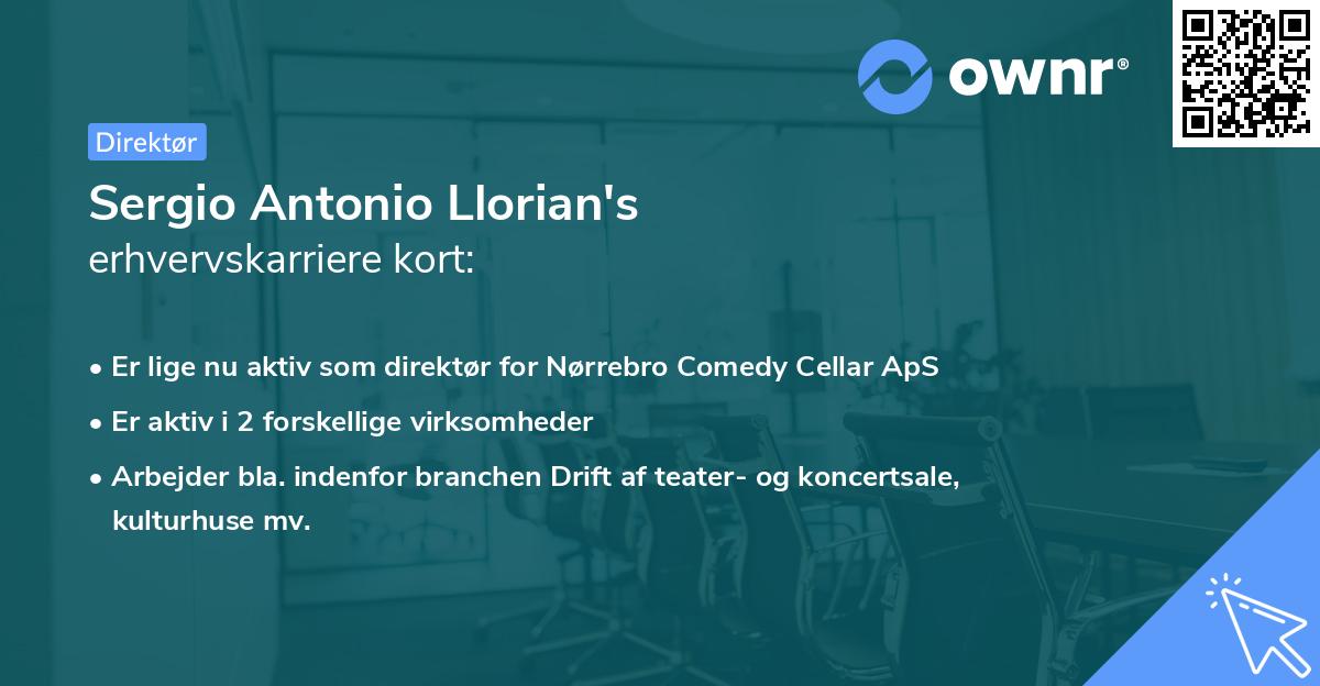 Sergio Antonio Llorian's erhvervskarriere kort