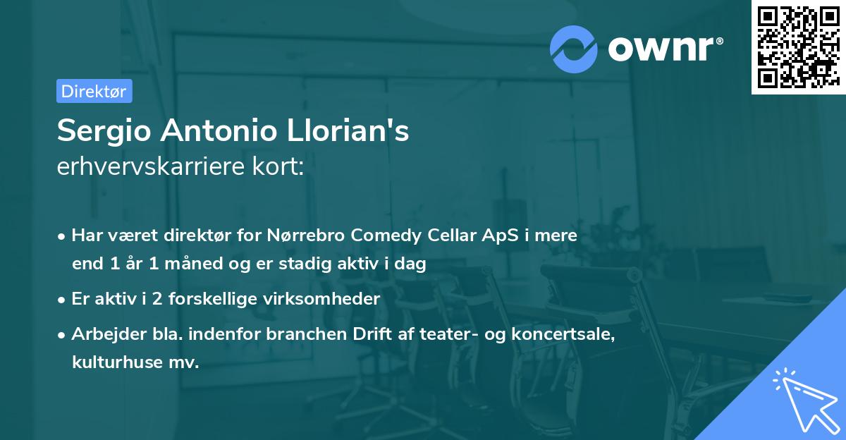 Sergio Antonio Llorian's erhvervskarriere kort