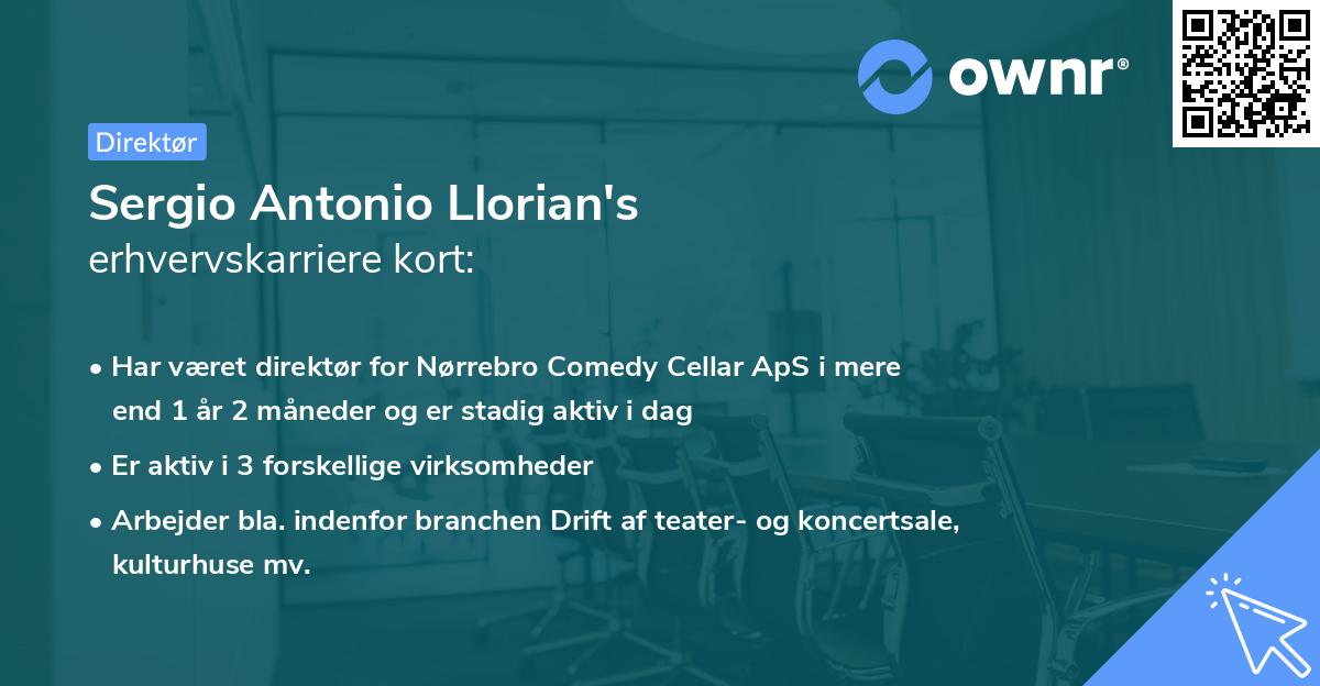 Sergio Antonio Llorian's erhvervskarriere kort