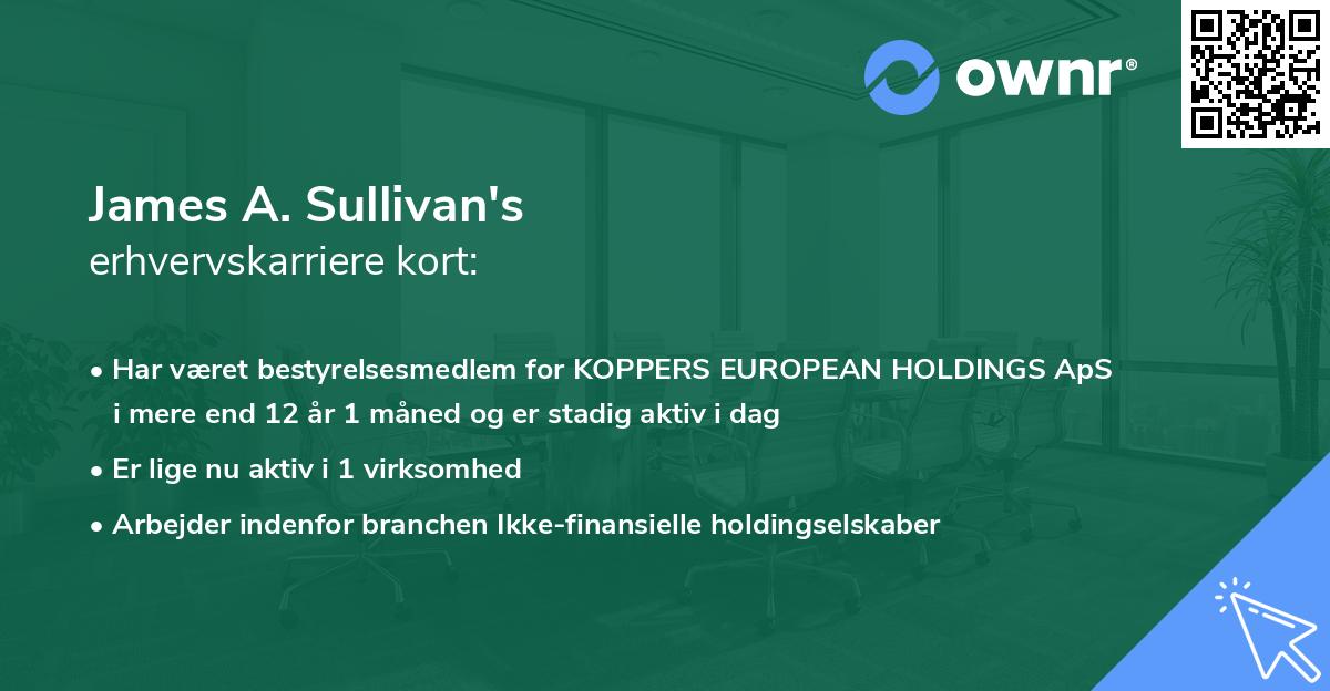 James A. Sullivan's erhvervskarriere kort