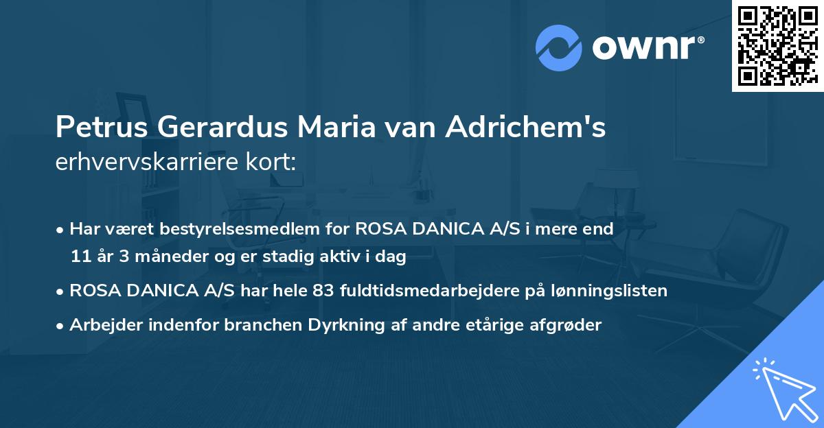 Petrus Gerardus Maria van Adrichem's erhvervskarriere kort