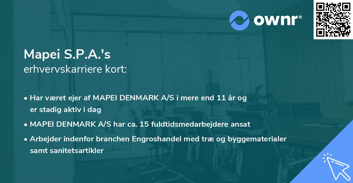 Mapei S.P.A.'s erhvervskarriere kort