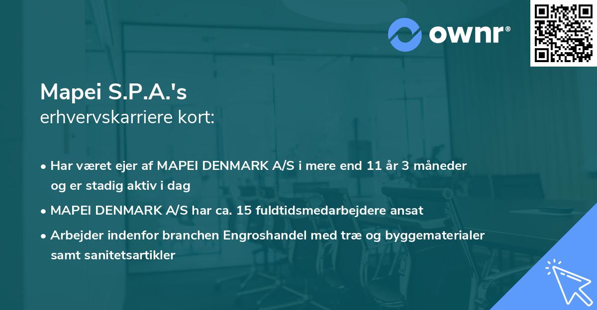 Mapei S.P.A.'s erhvervskarriere kort