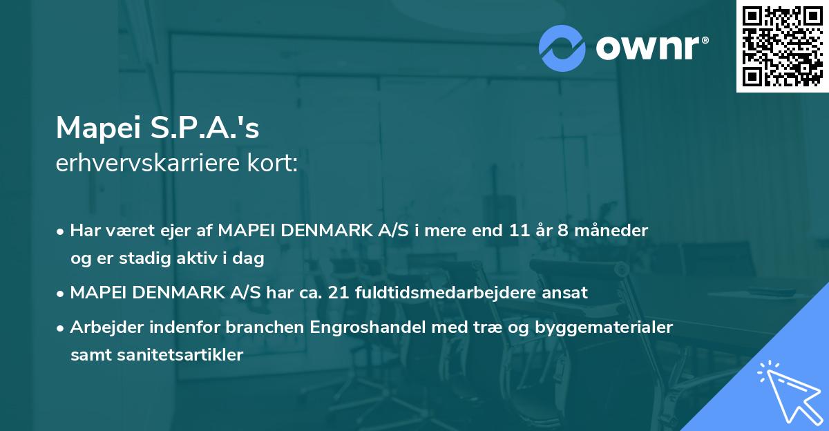 Mapei S.P.A.'s erhvervskarriere kort