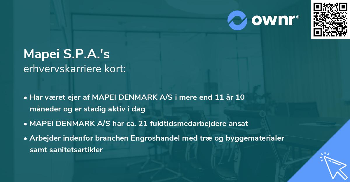 Mapei S.P.A.'s erhvervskarriere kort