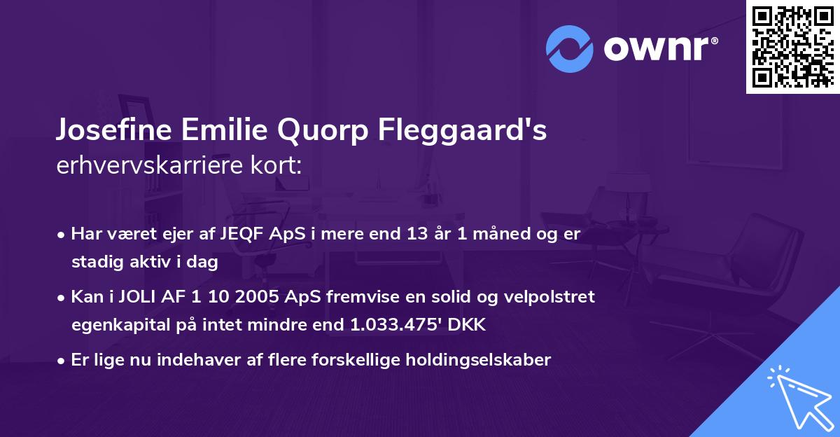 Josefine Emilie Quorp Fleggaard's erhvervskarriere kort