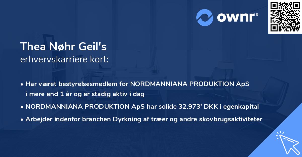 Thea Nøhr Geil's erhvervskarriere kort