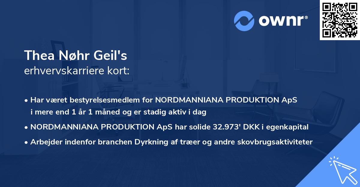 Thea Nøhr Geil's erhvervskarriere kort