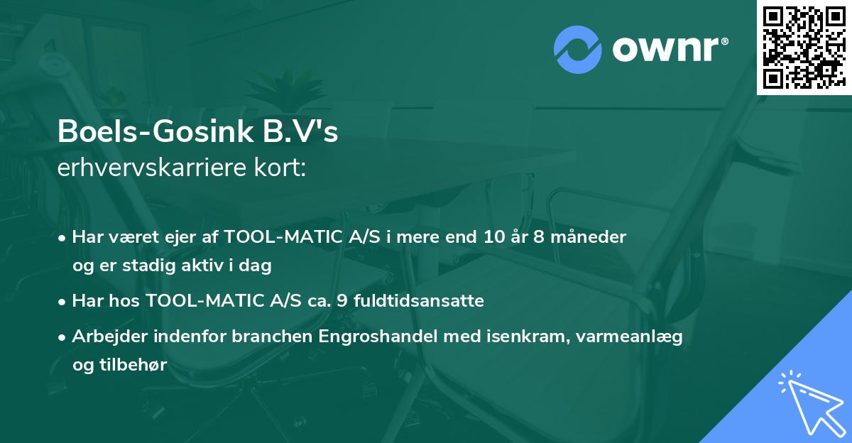 Boels-Gosink B.V's erhvervskarriere kort