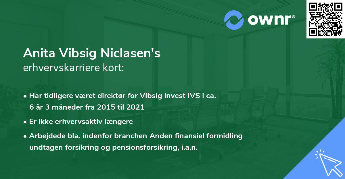 Anita Vibsig Niclasen's erhvervskarriere kort