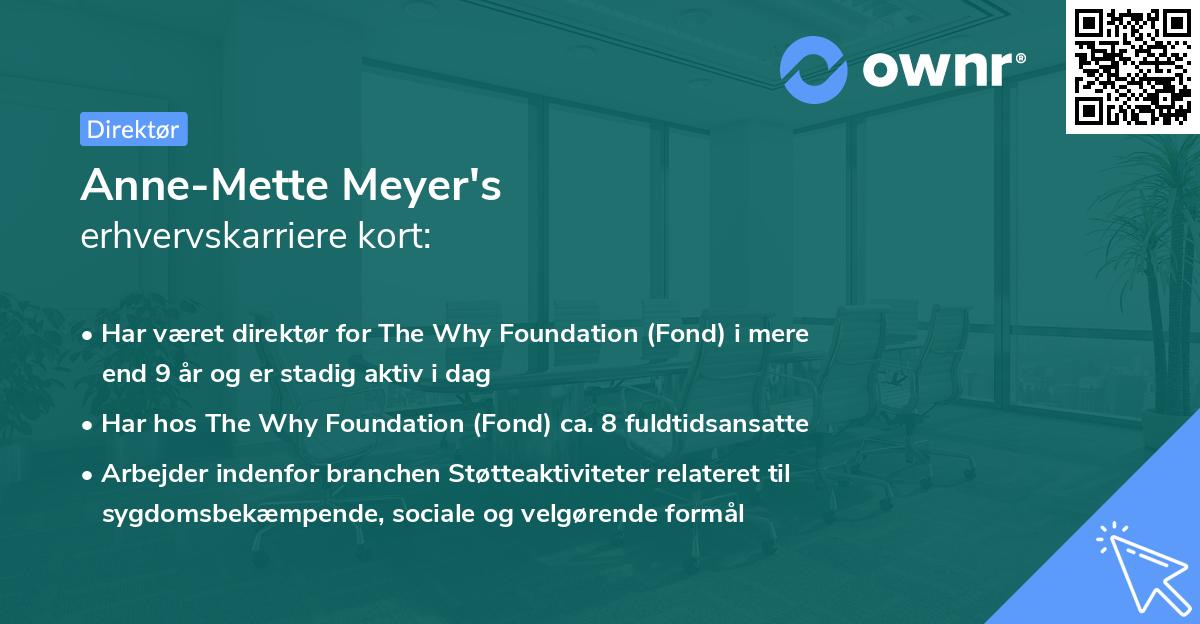 Anne-Mette Meyer's erhvervskarriere kort
