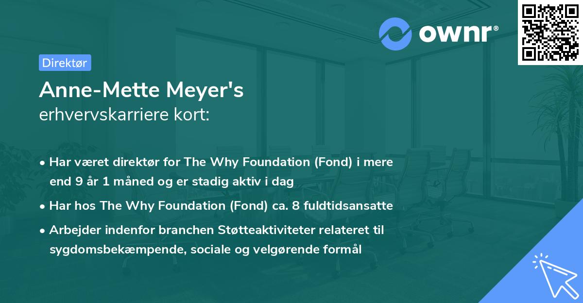 Anne-Mette Meyer's erhvervskarriere kort