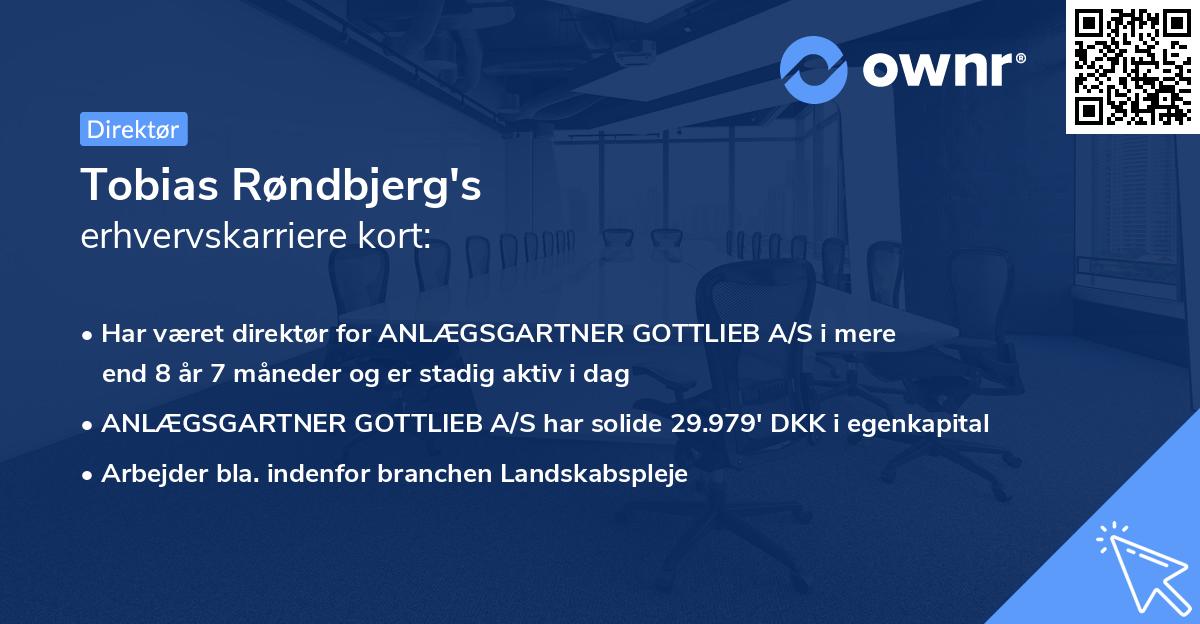 Tobias Røndbjerg's erhvervskarriere kort