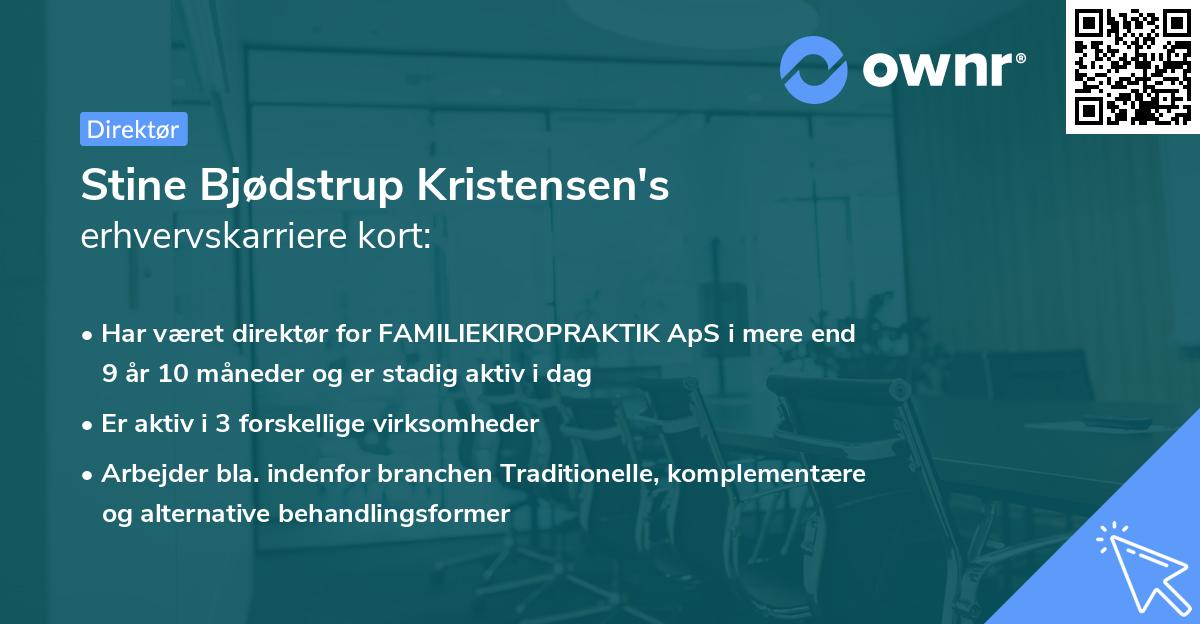 Stine Bjødstrup Kristensen's erhvervskarriere kort