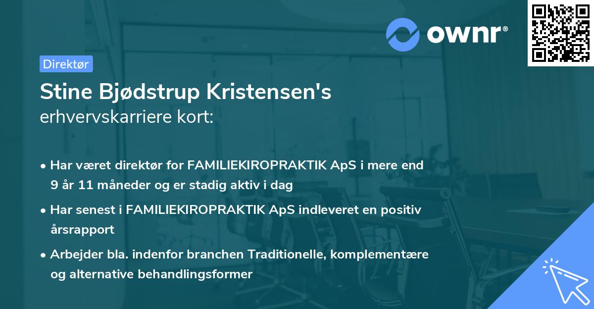 Stine Bjødstrup Kristensen's erhvervskarriere kort