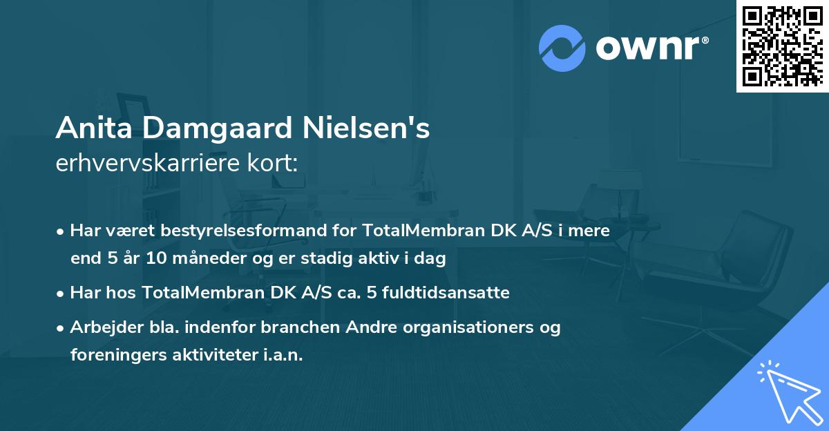 Anita Damgaard Nielsen's erhvervskarriere kort