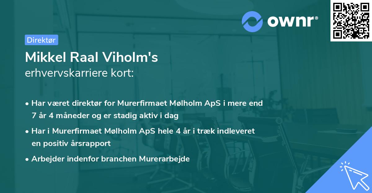 Mikkel Raal Viholm's erhvervskarriere kort