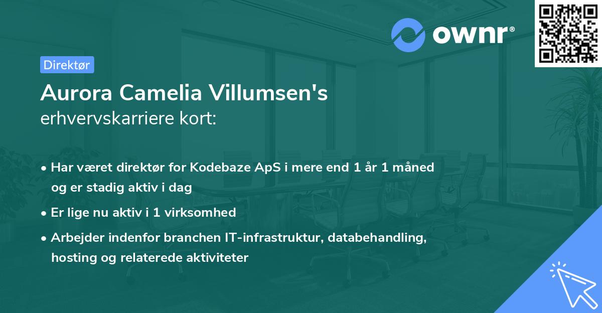 Aurora Camelia Villumsen's erhvervskarriere kort