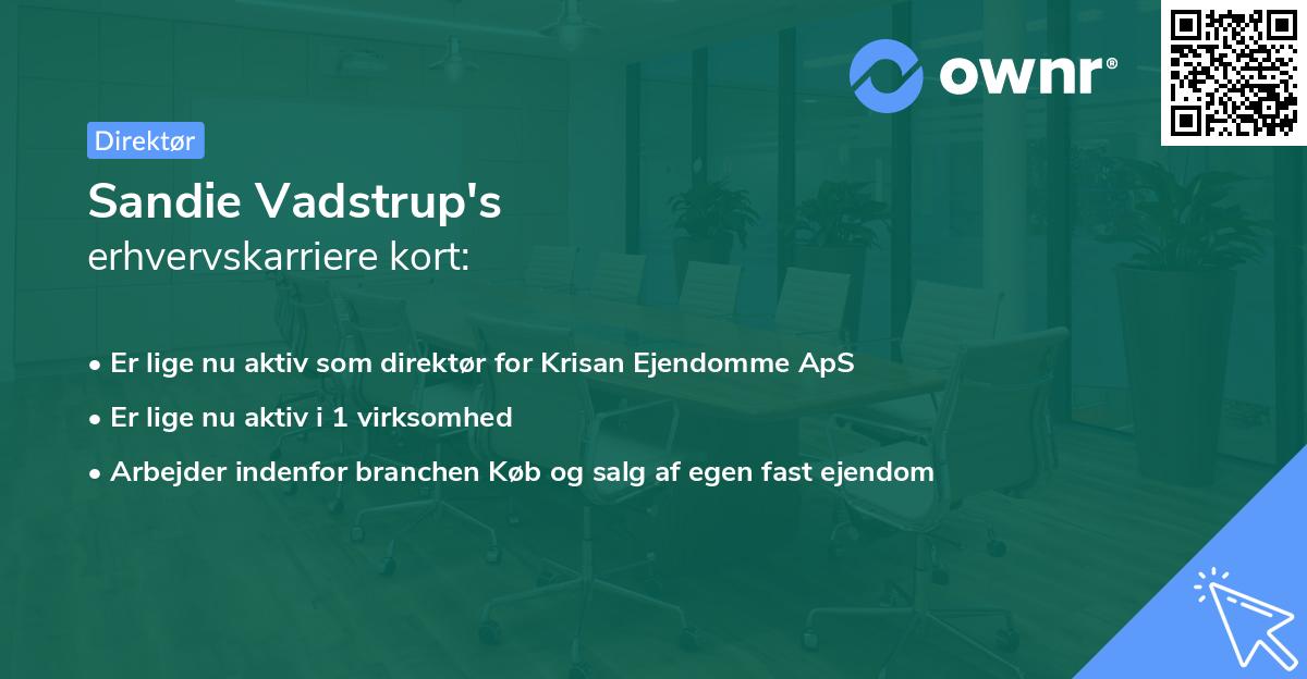 Sandie Vadstrup's erhvervskarriere kort