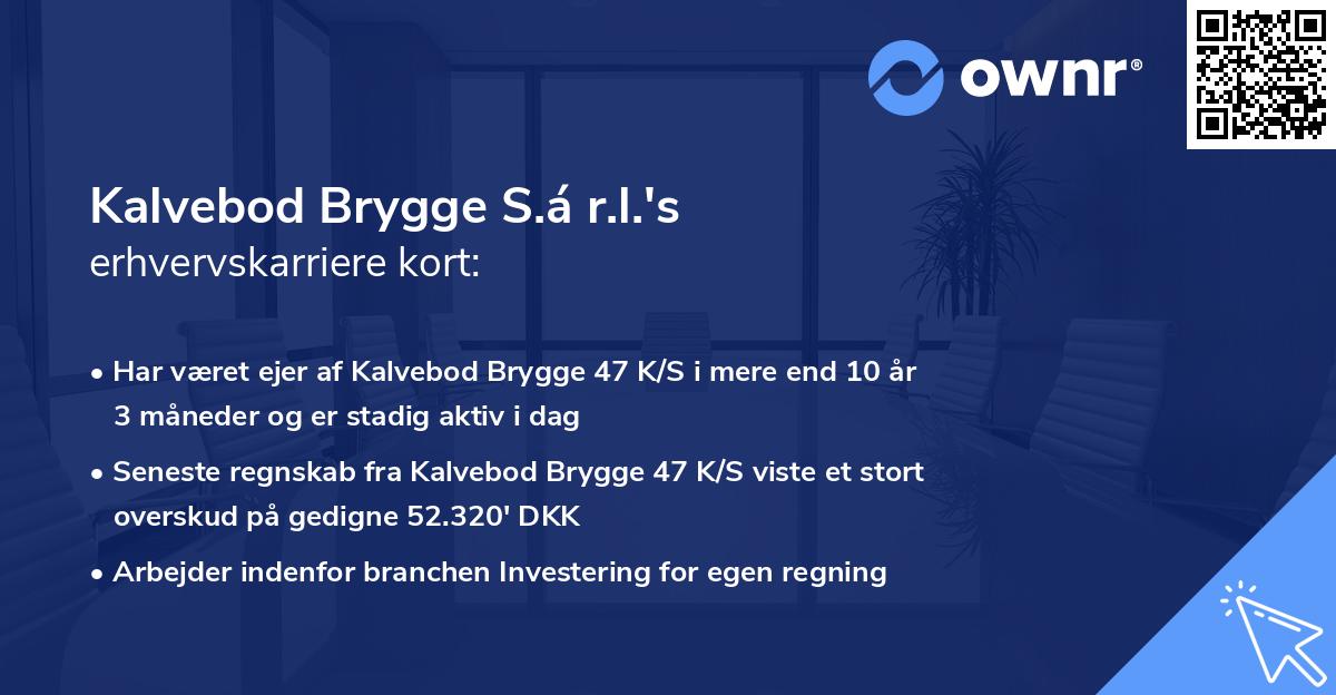 Kalvebod Brygge S.á r.l.'s erhvervskarriere kort