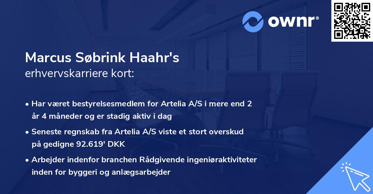 Marcus Søbrink Haahr's erhvervskarriere kort