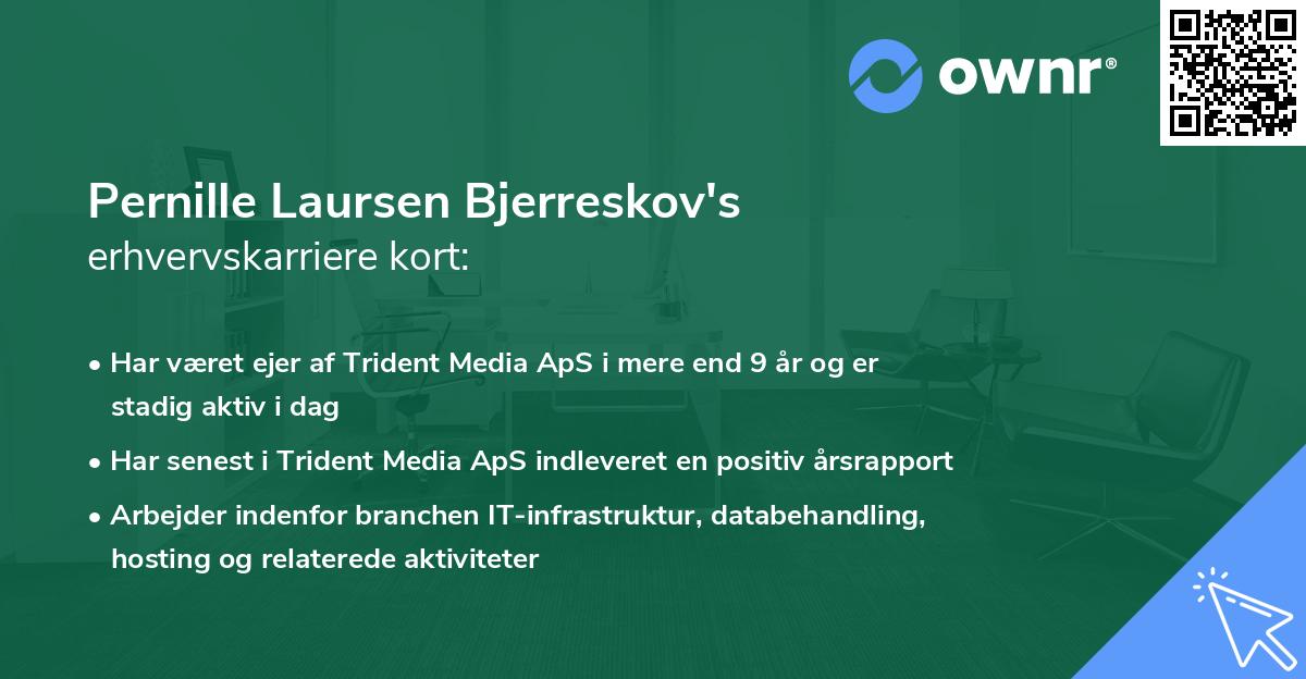 Pernille Laursen Bjerreskov's erhvervskarriere kort