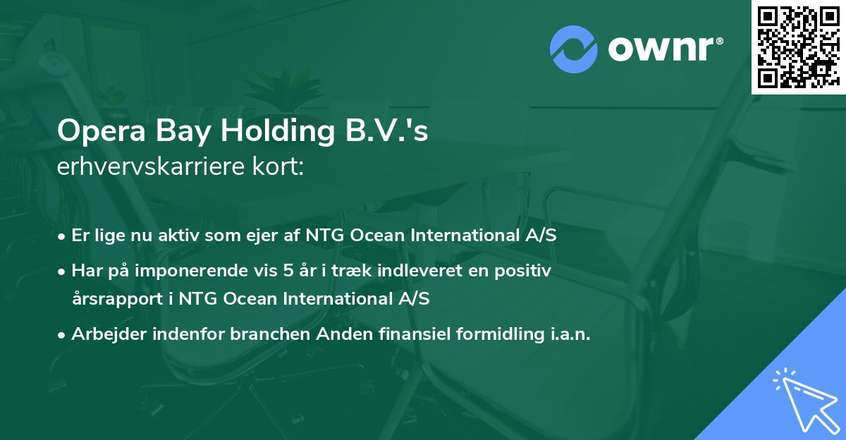 Opera Bay Holding B.V.'s erhvervskarriere kort