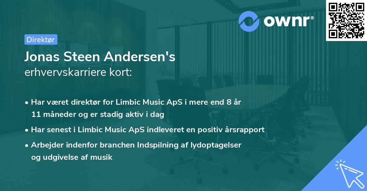 Jonas Steen Andersen's erhvervskarriere kort