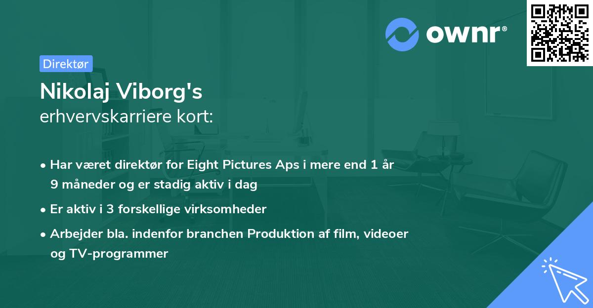 Nikolaj Viborg's erhvervskarriere kort