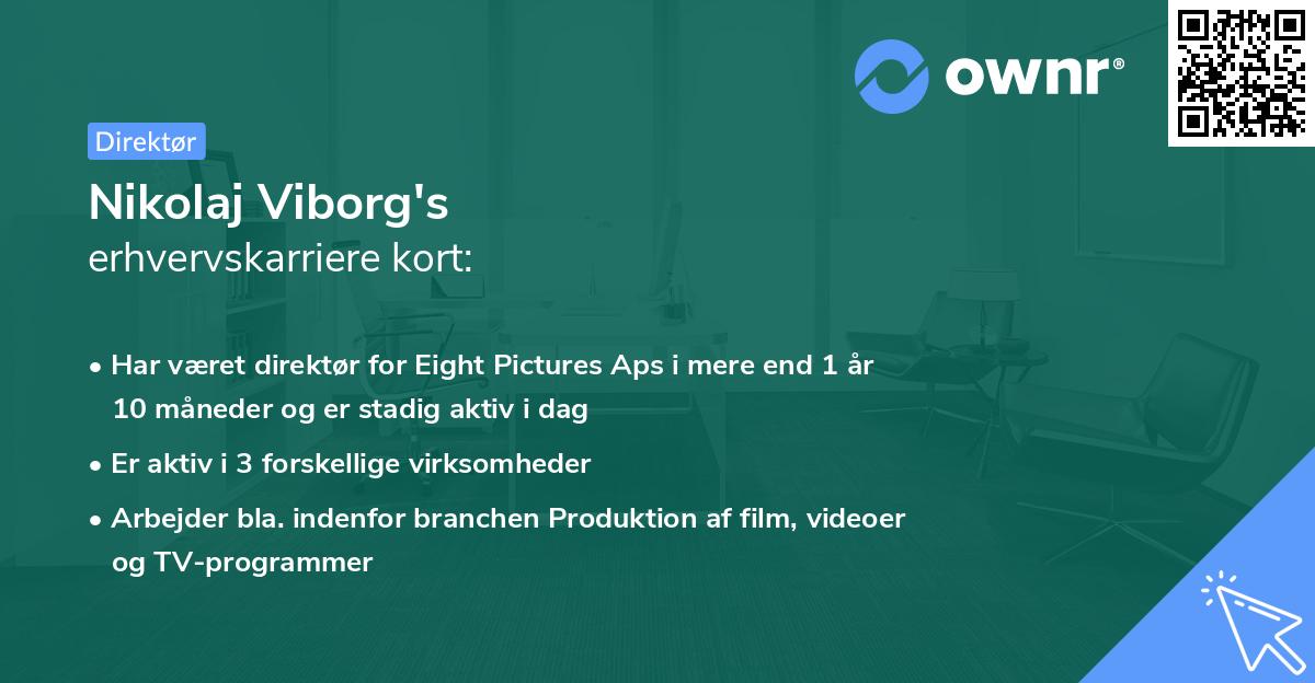 Nikolaj Viborg's erhvervskarriere kort