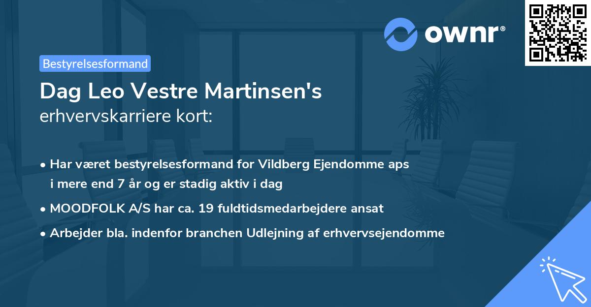 Dag Leo Vestre Martinsen's erhvervskarriere kort