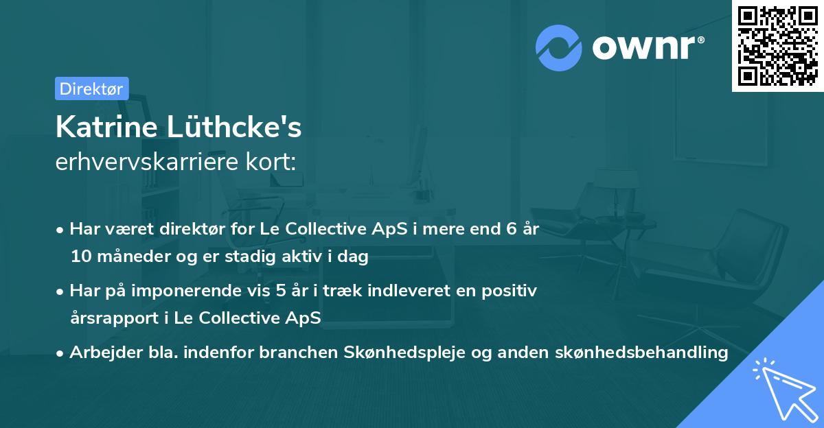 Katrine Lüthcke's erhvervskarriere kort
