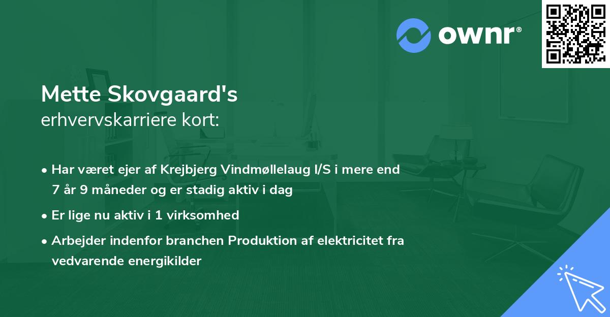 Mette Skovgaard's erhvervskarriere kort