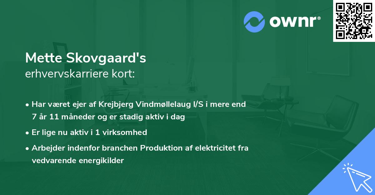 Mette Skovgaard's erhvervskarriere kort