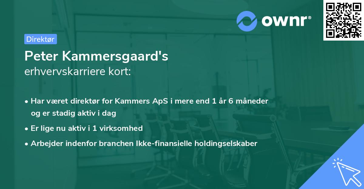 Peter Kammersgaard's erhvervskarriere kort