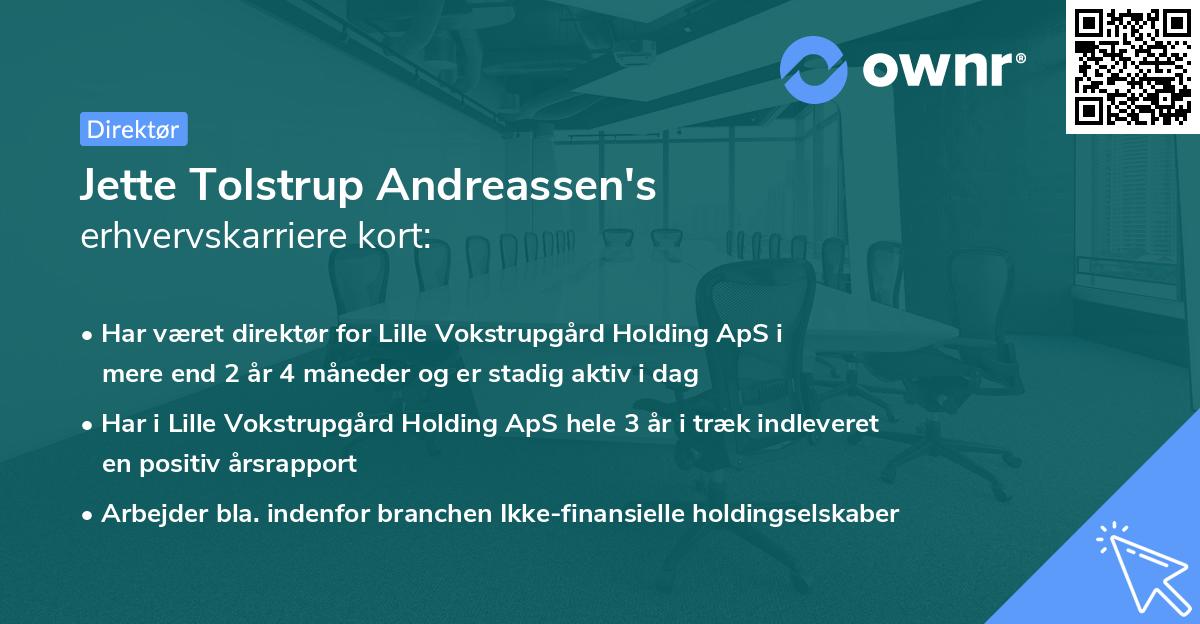 Jette Tolstrup Andreassen's erhvervskarriere kort