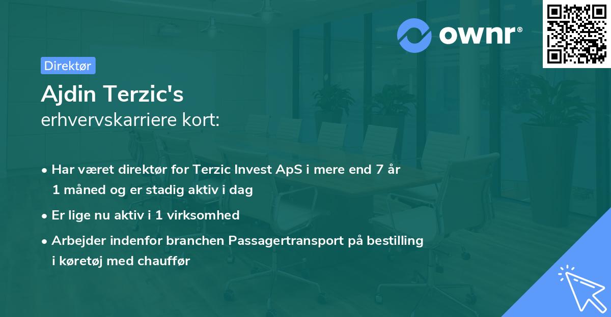 Ajdin Terzic's erhvervskarriere kort